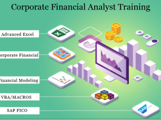 diploma-in-financial-modelling-delhi-risk-analyst-and-r2r-analyst-course-in-delhi-100-job-by-sla-consultants