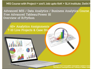 Microsoft MIS Training Course in Delhi, 110072, 100% Placement[2024] - Data  Analytics Course in Gurgaon, SLA  Analytics