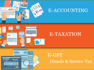 the-rise-of-remote-accounting-jobs-why-an-accounting-course-is-key-in-2025-100-job-accounting-course-in-delhi