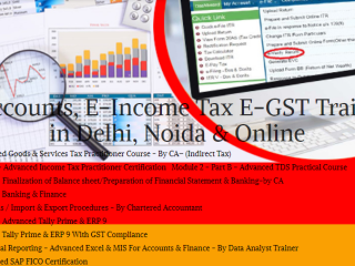 best-100-job-accounting-certifications-for-landing-a-high-paying-job-in-2025-100-job-accounting-course-in-delhi-with-job-110010-by-sla