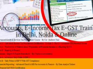accounting-and-taxation-course-in-delhi-certified-gst-practitioner-course-in-delhi-100-job-guarantee-course-by-sla-consultants